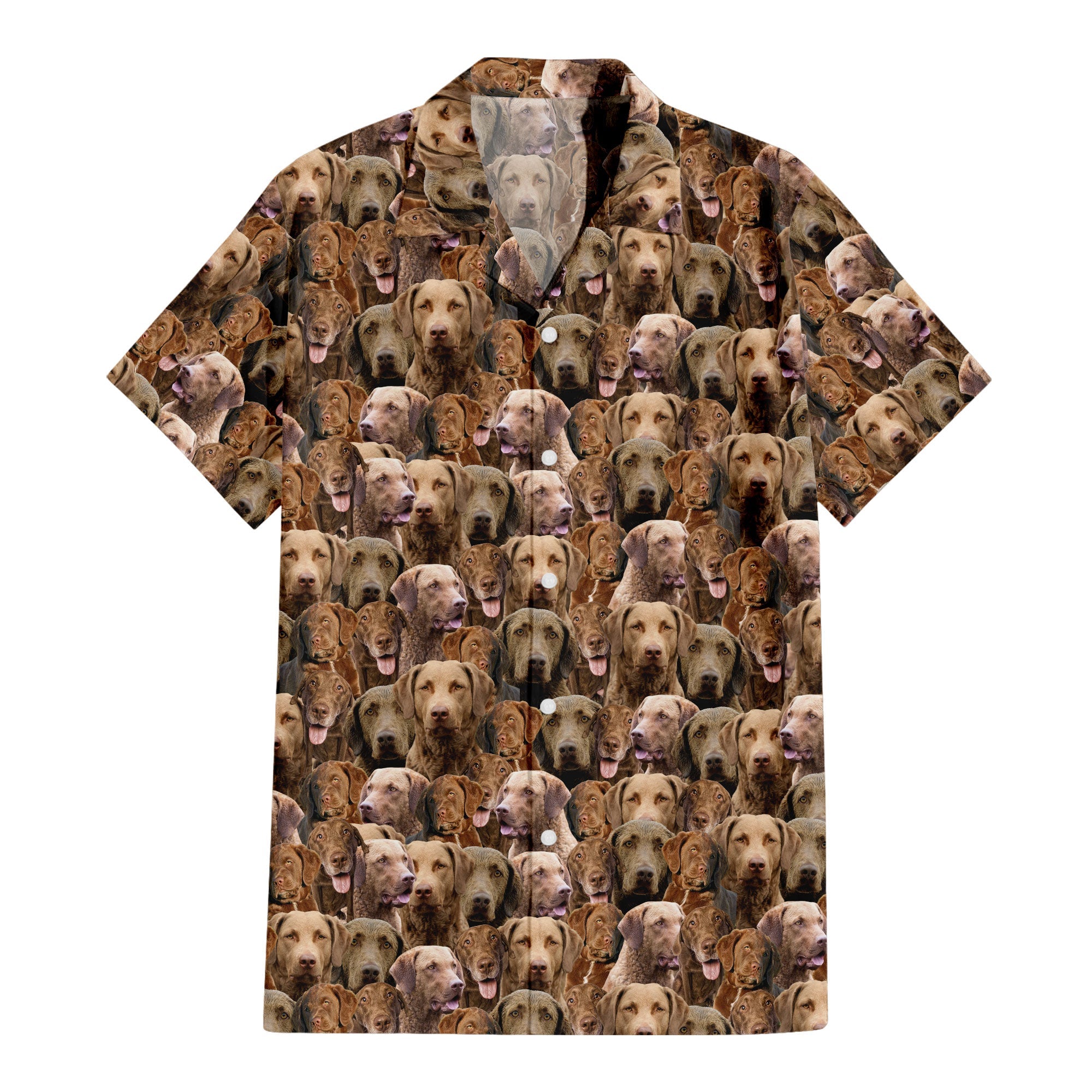 Chesapeake Bay Retriever Dog Full Face Hawaiian Shirt & Short