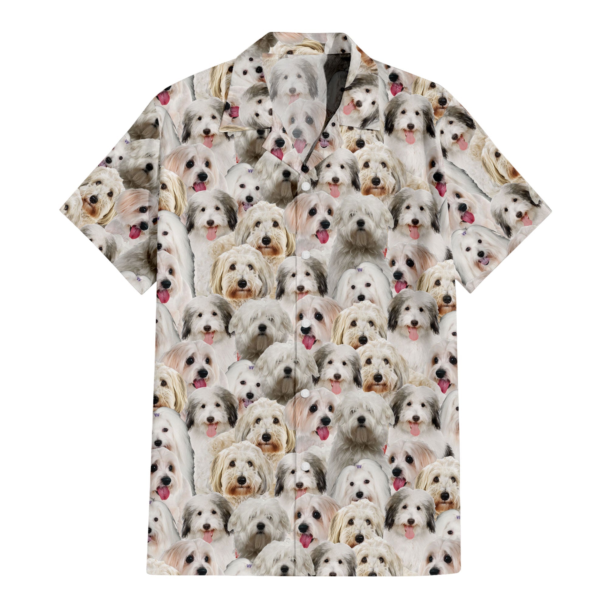 Coton De Tulear Full Face Hawaiian Shirt & Short