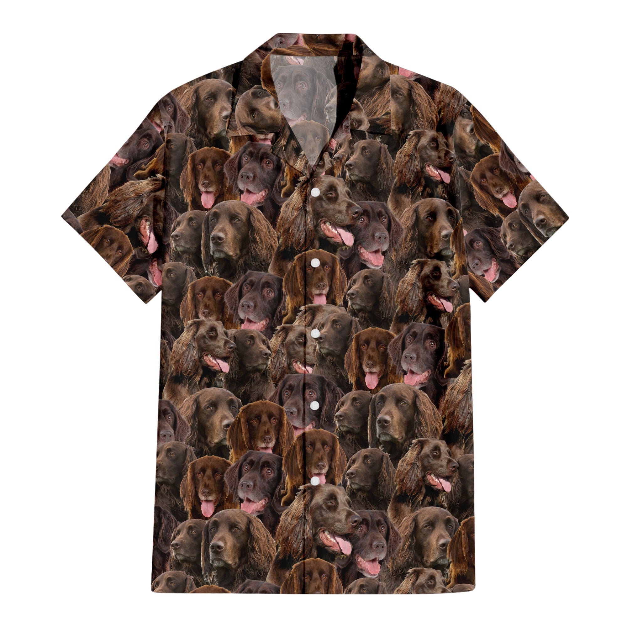 German Longhaired Pointer Full Face Hawaiian Shirt & Short