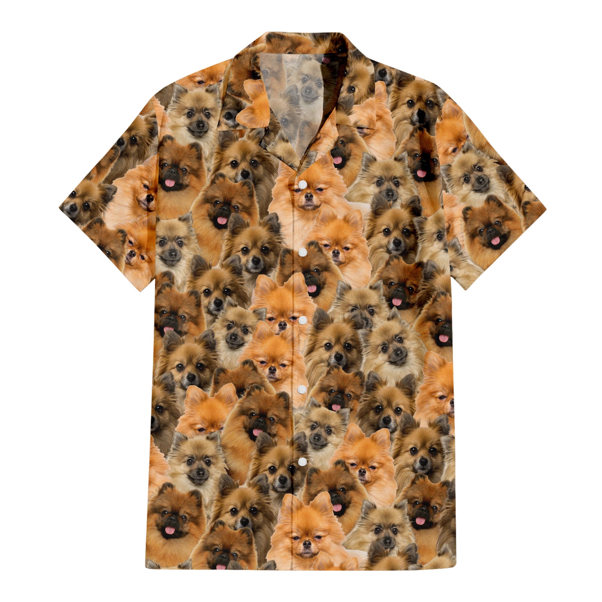 German Spitz Full Face Hawaiian Shirt & Short
