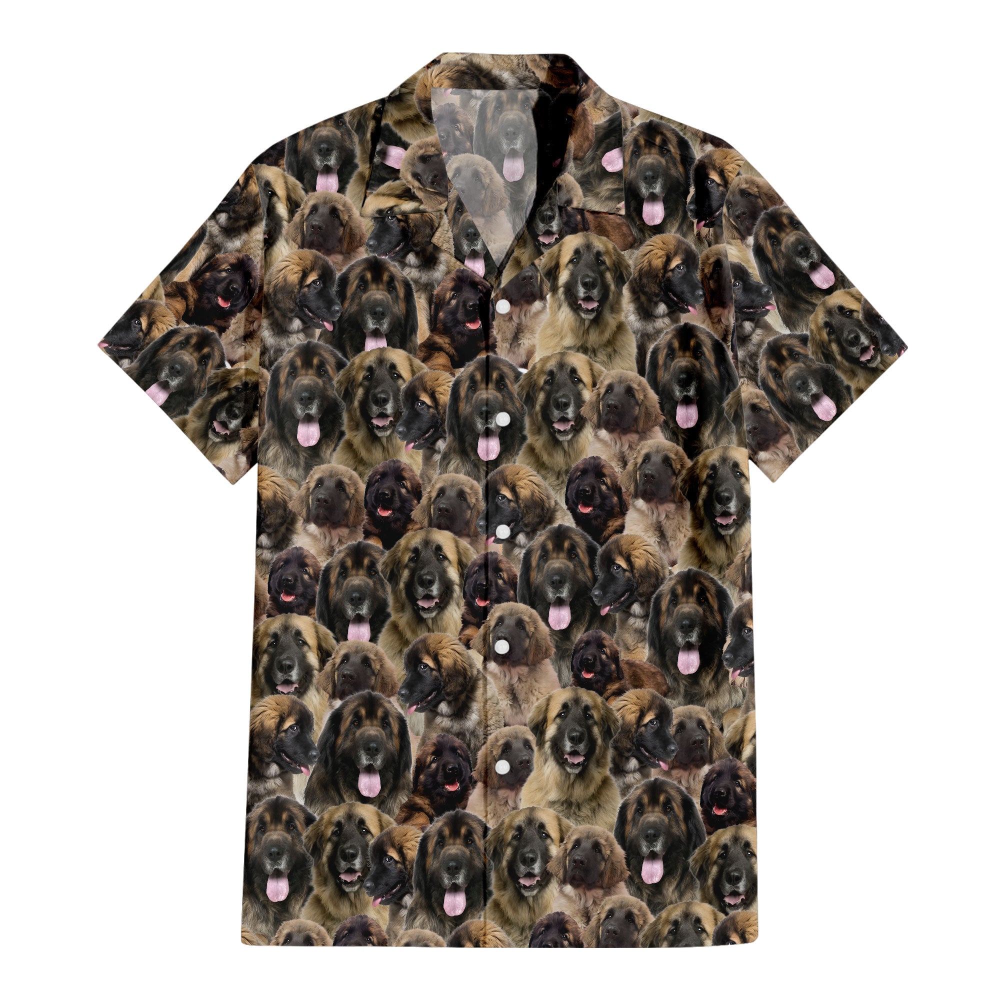 Leonberger Full Face Hawaiian Shirt & Short