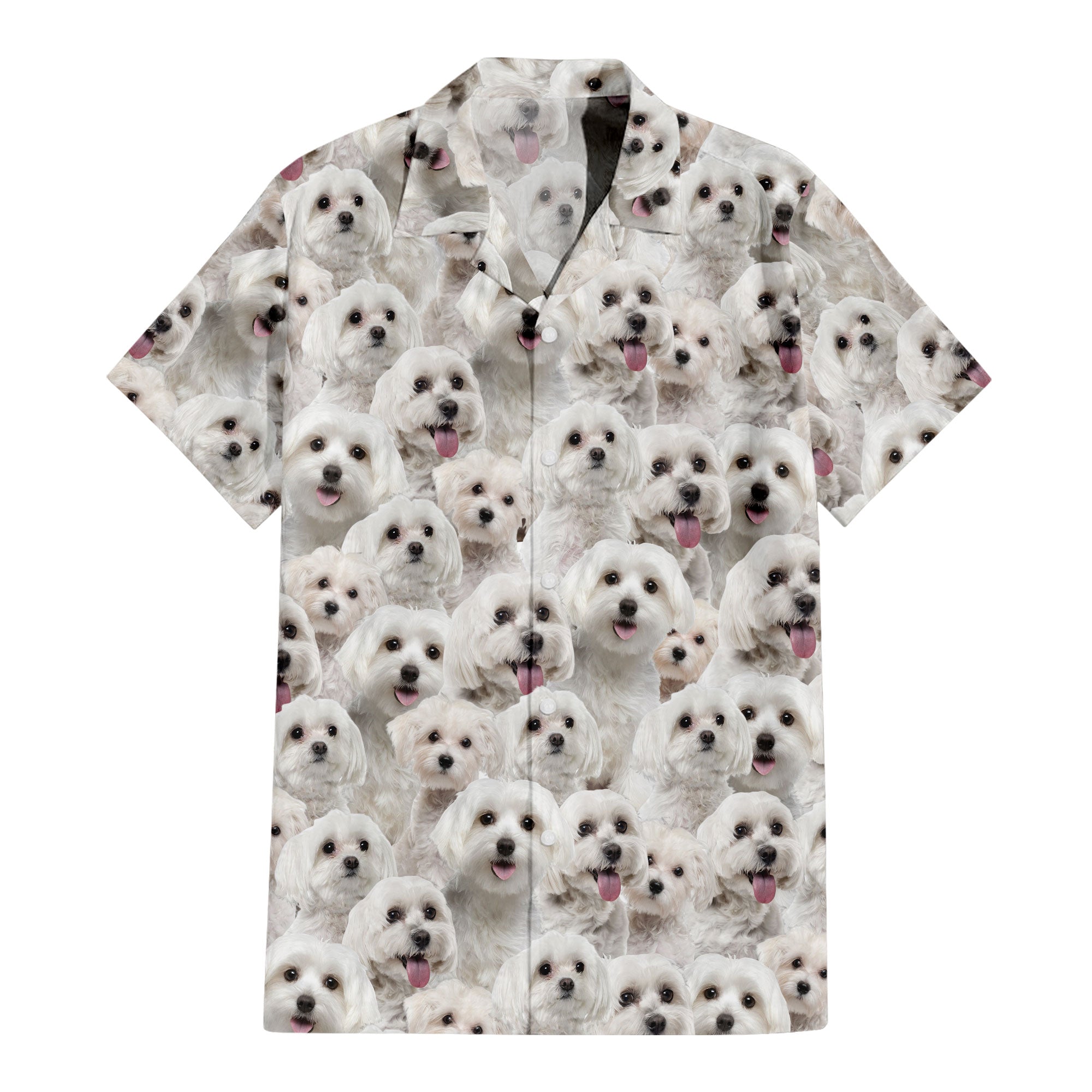 Maltese Full Face Hawaiian Shirt & Short