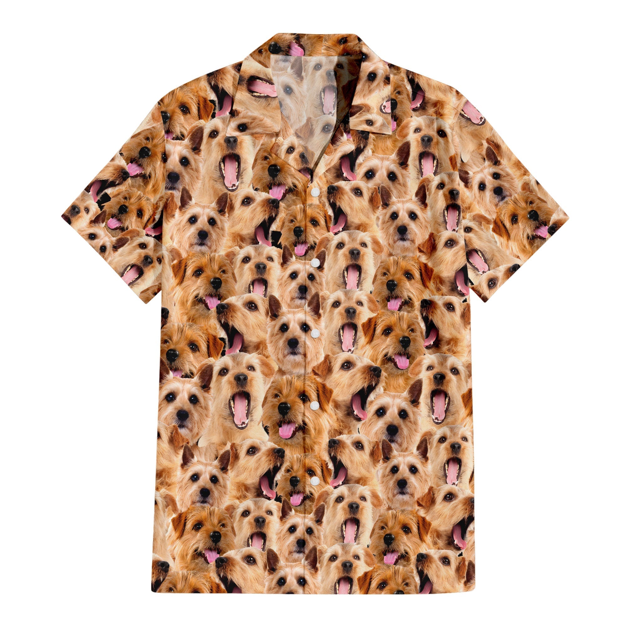 Norfolk Terrier Full Face Hawaiian Shirt & Short