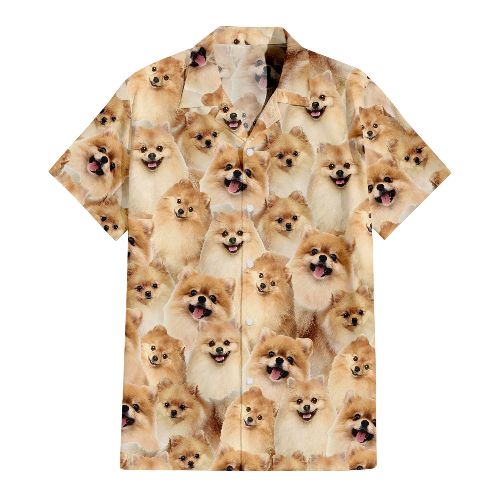 Pomeranian Full Face Hawaiian Shirt & Short