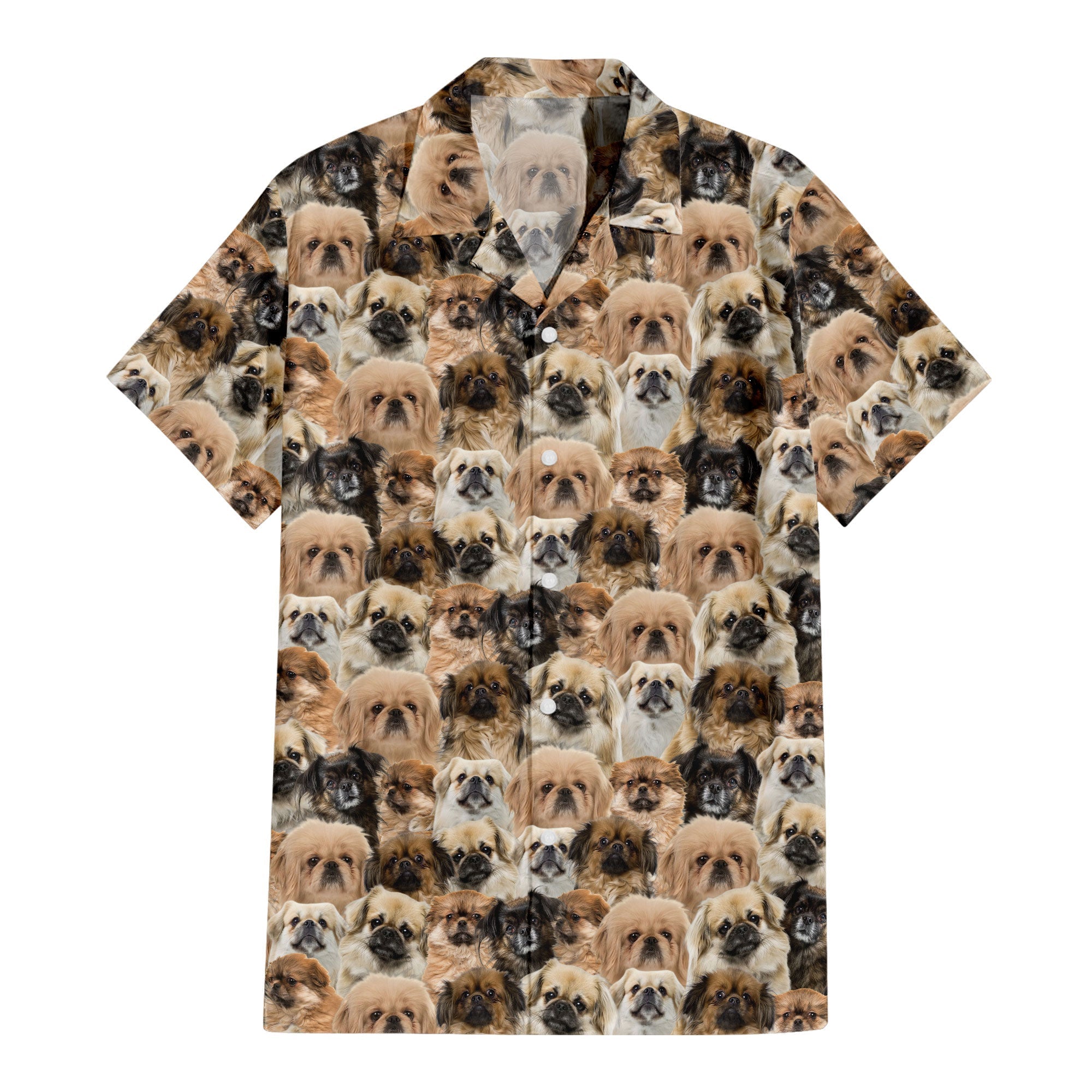 Tibetan Spaniel Full Face Hawaiian Shirt & Short