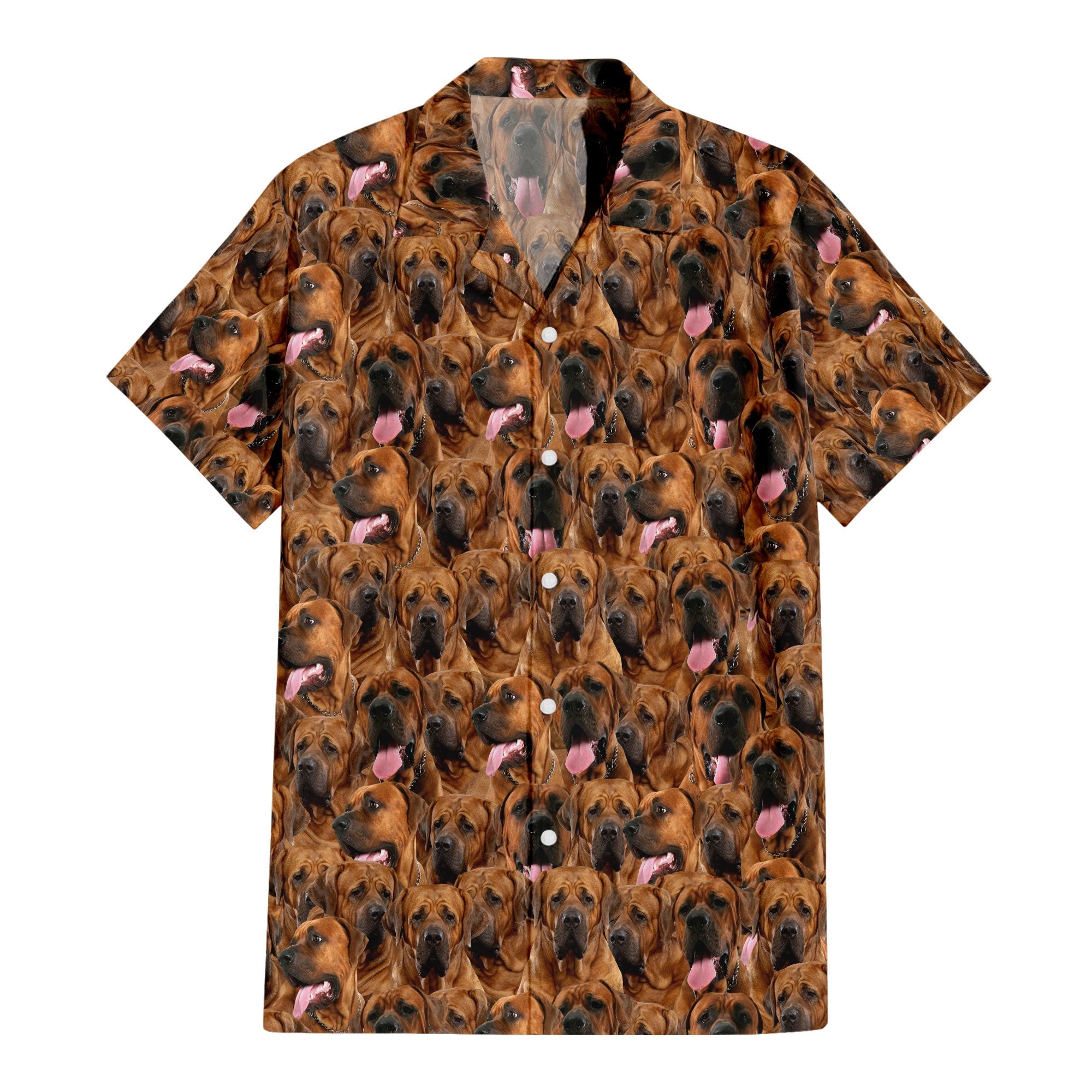 Tosa Full Face Hawaiian Shirt & Short