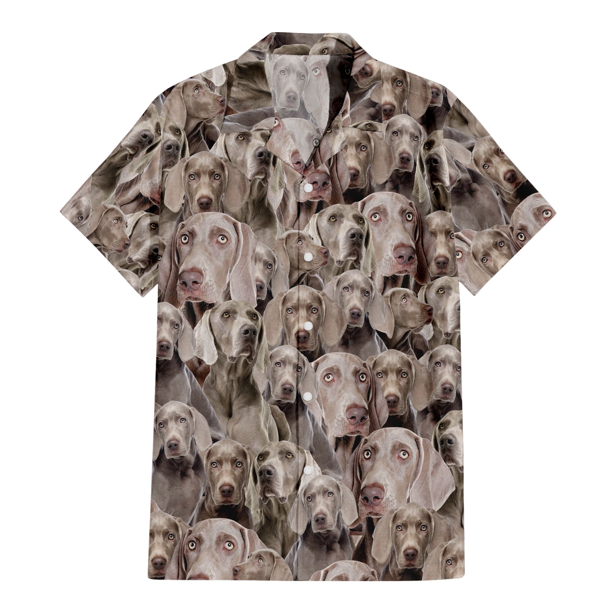 Weimaraner Full Face Hawaiian Shirt & Short