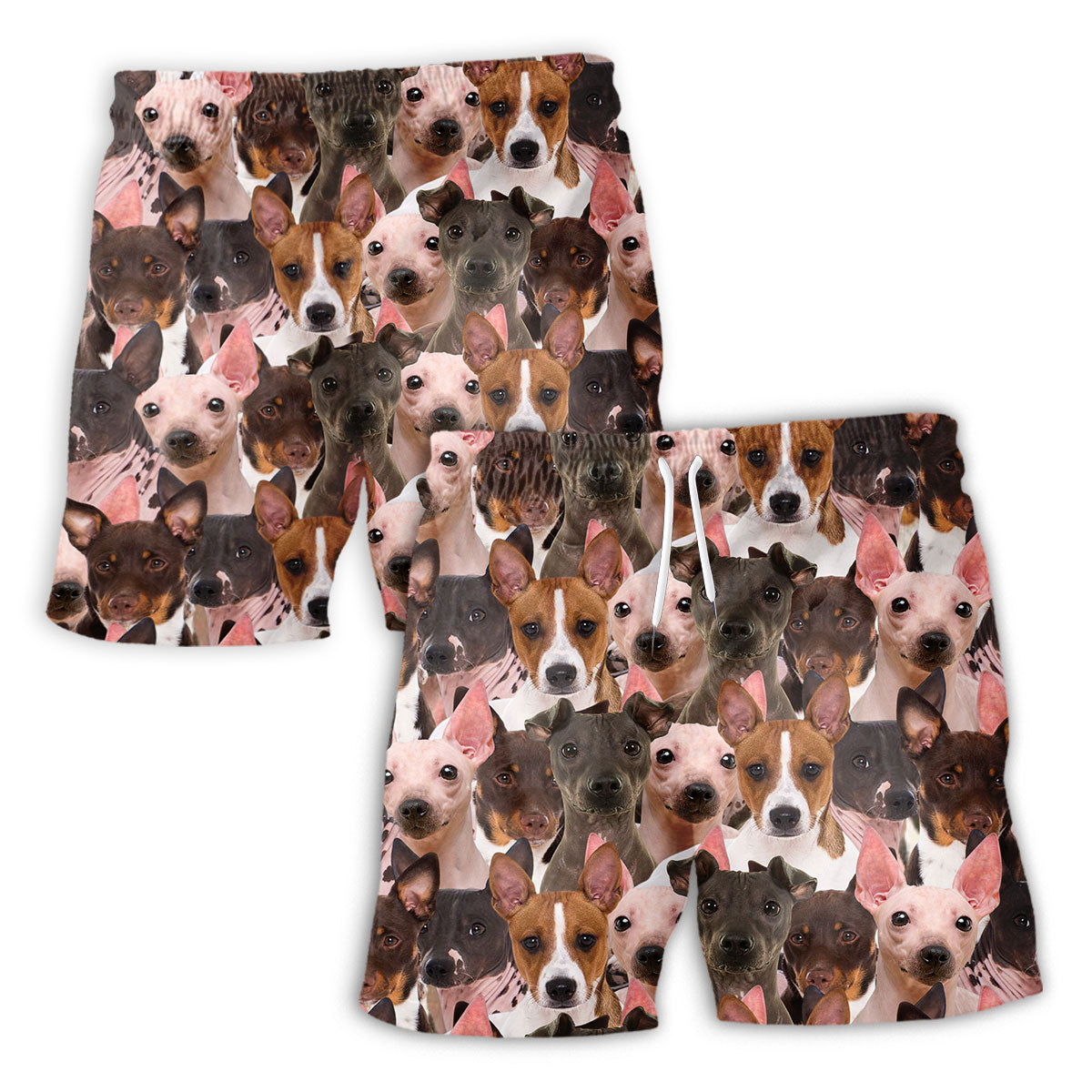 American Hairless Terrier Full Face Hawaiian Shirt & Short