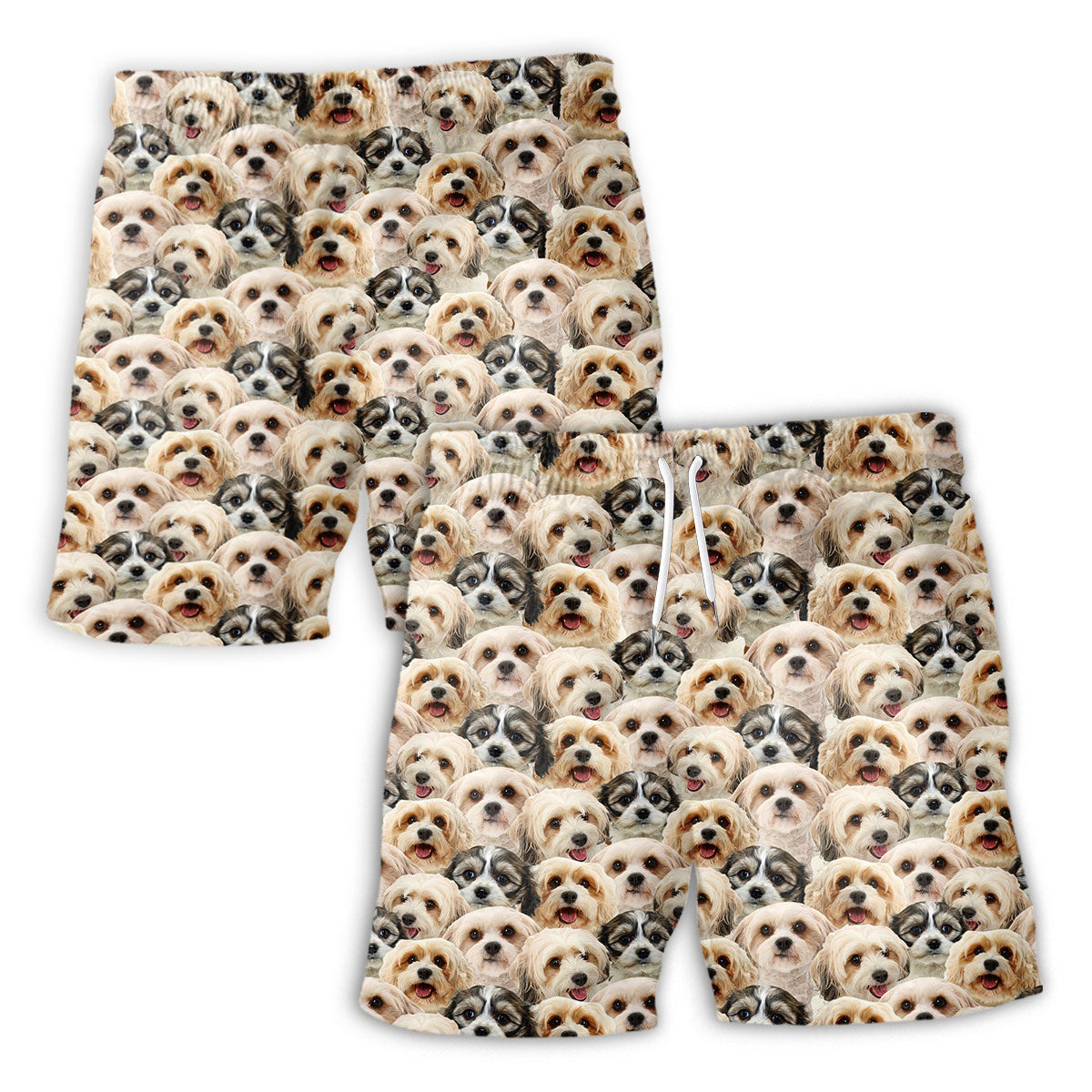 Cavachon Dog Full Face Hawaiian Shirt & Short