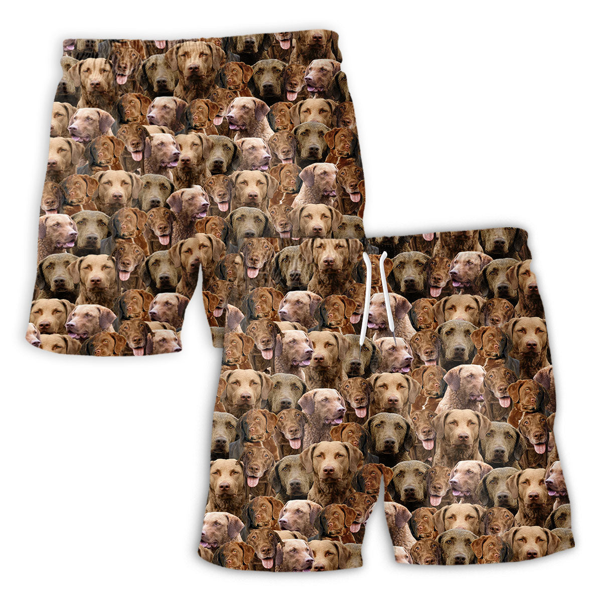 Chesapeake Bay Retriever Dog Full Face Hawaiian Shirt & Short