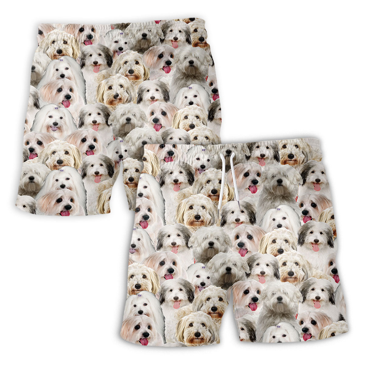 Coton De Tulear Full Face Hawaiian Shirt & Short