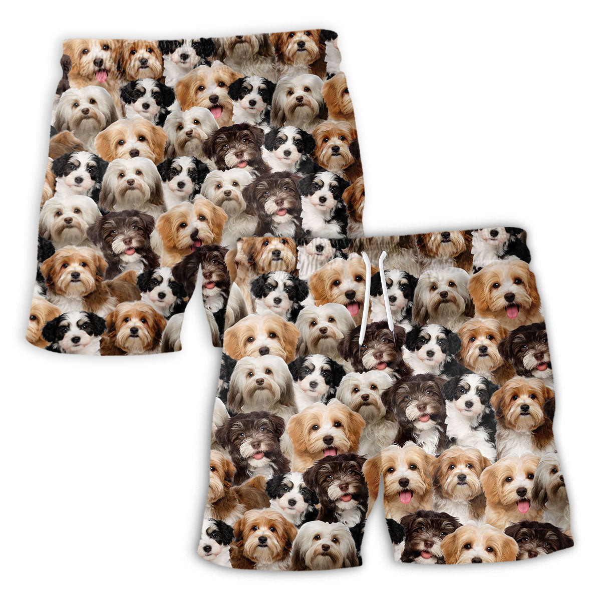 Havanese Full Face Hawaiian Shirt & Short