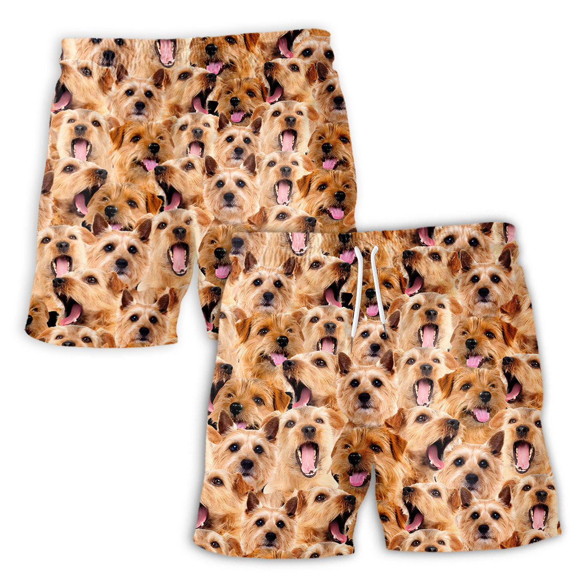 Norfolk Terrier Full Face Hawaiian Shirt & Short