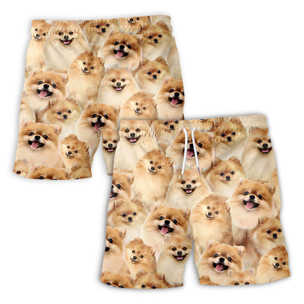 Pomeranian Full Face Hawaiian Shirt & Short