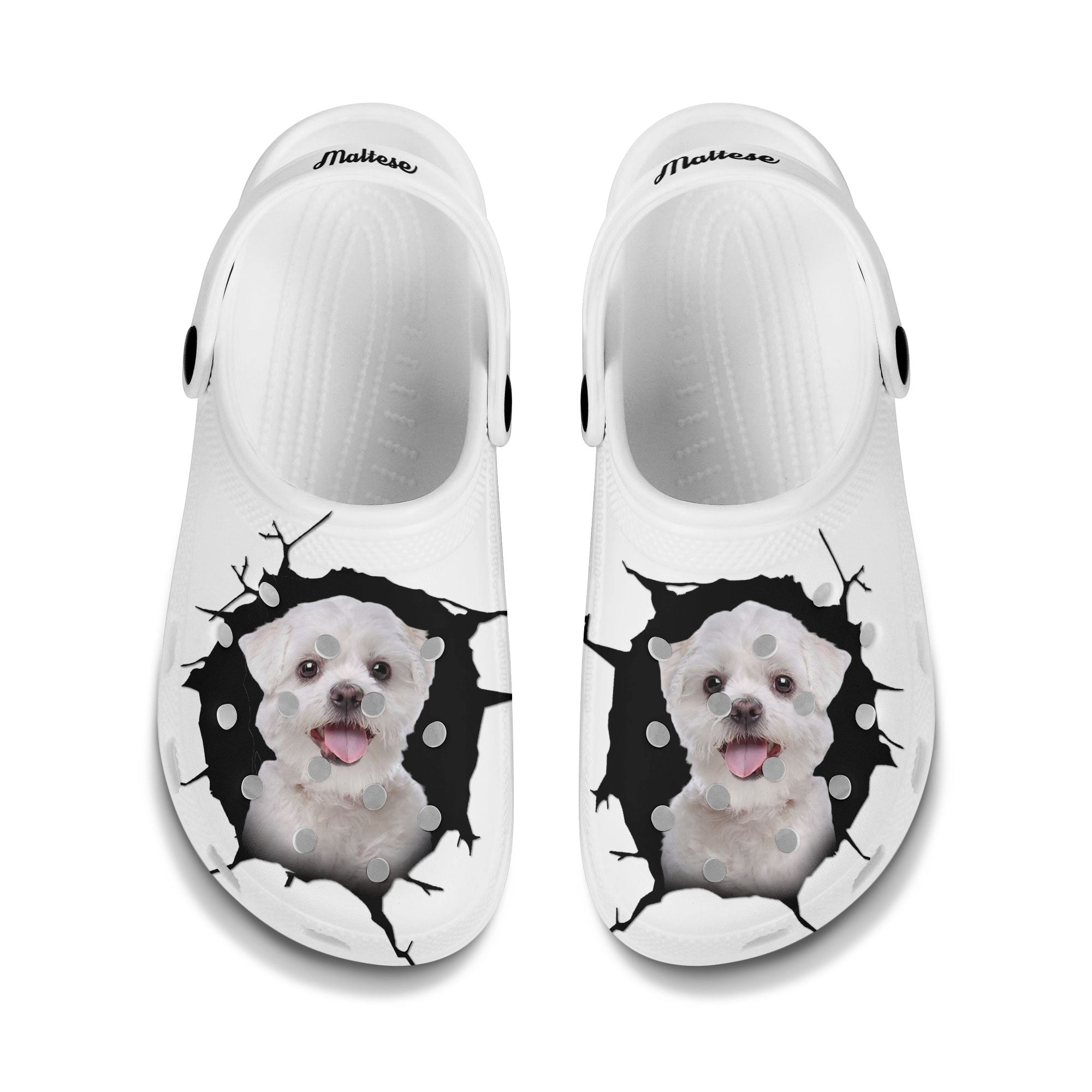Maltese - 3D Graphic Custom Name Crocs Shoes