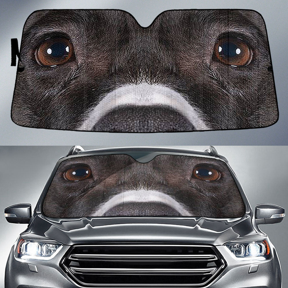 American Stafford Car Sun Shade American Stafford Car Sun Shade