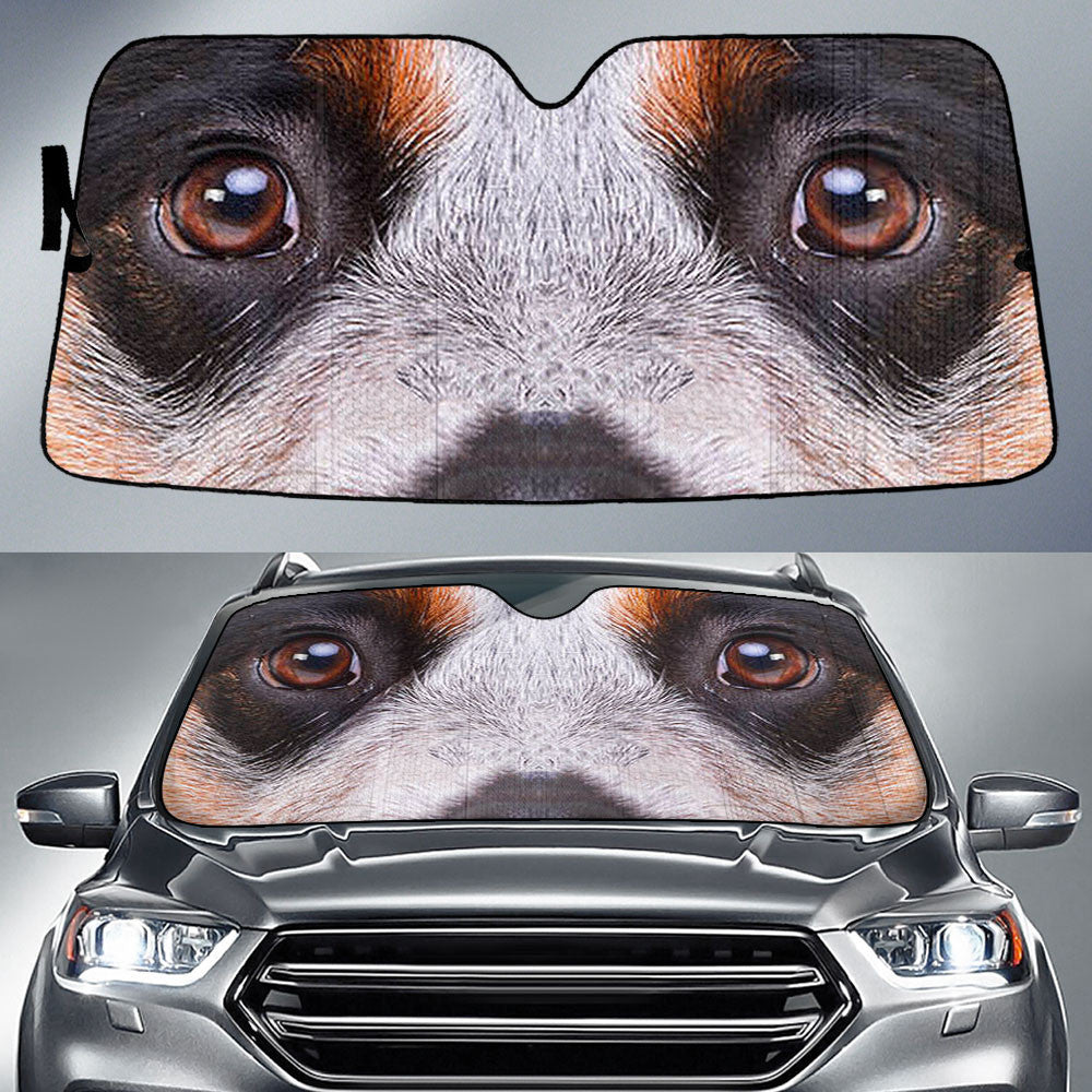 Australian Cattle Eyes Car Sun shade 94