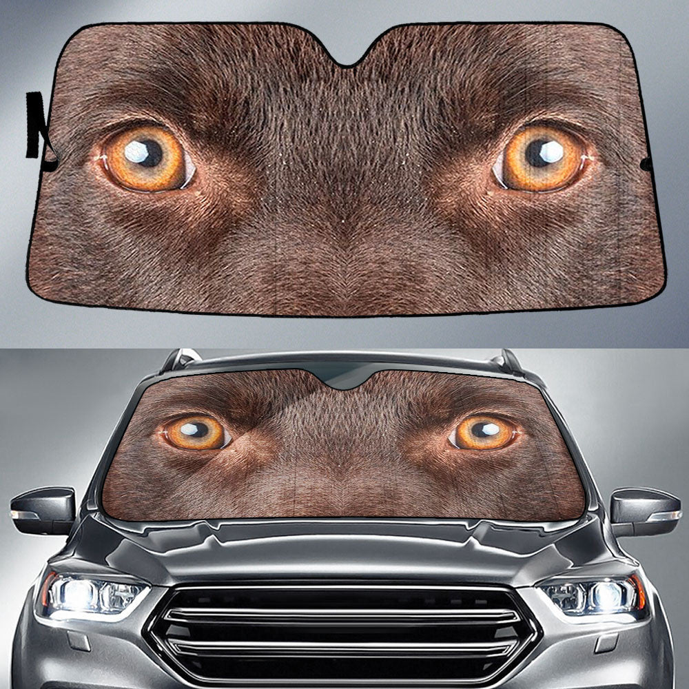 Australian Kelpie Eyes Car Sun shade 94