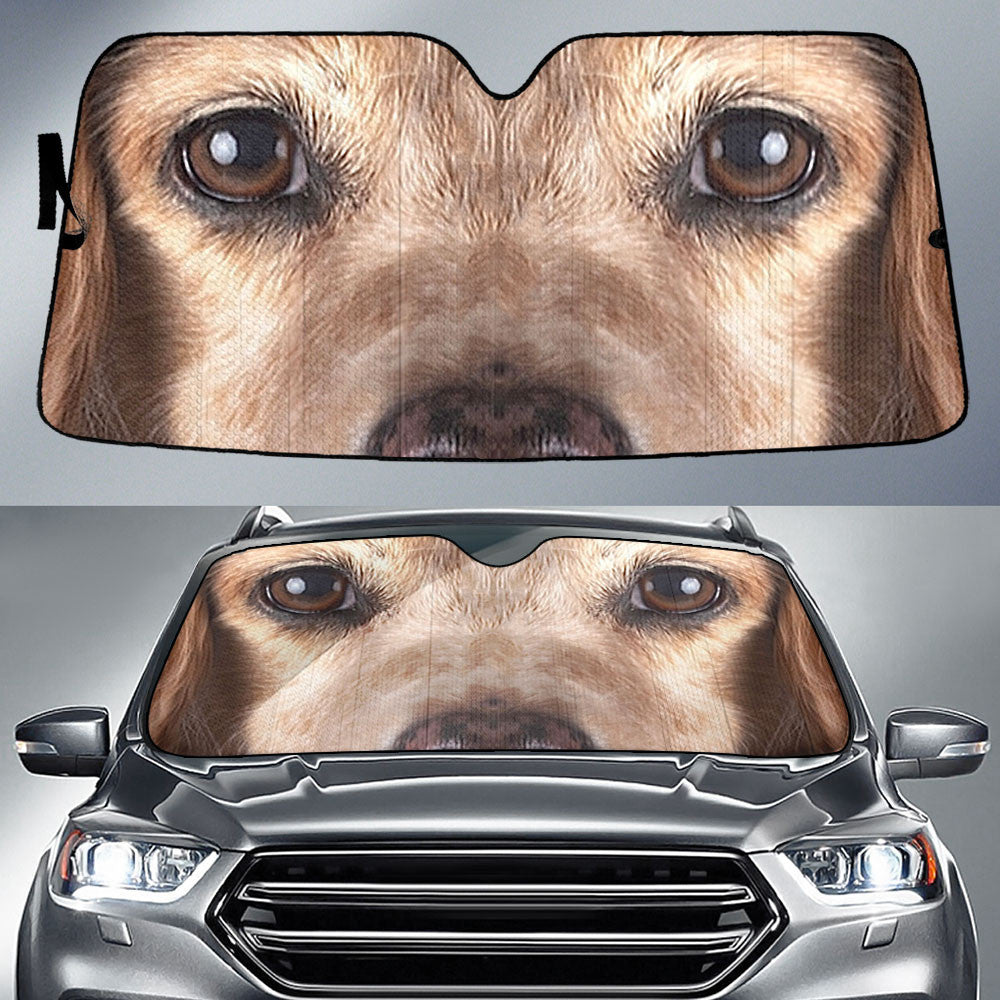 Brittany Eyes Car Sun Shade 94