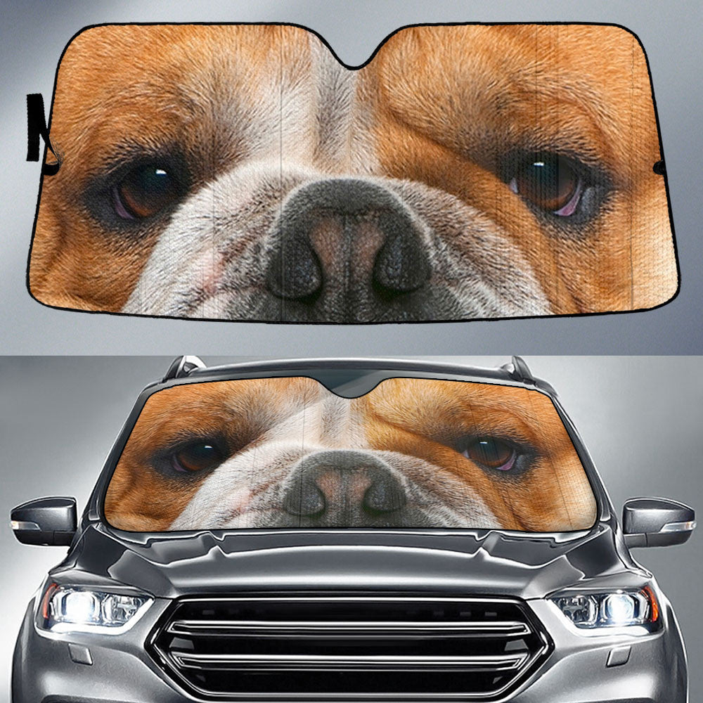 Bulldog Eyes Car Sun Shade 94