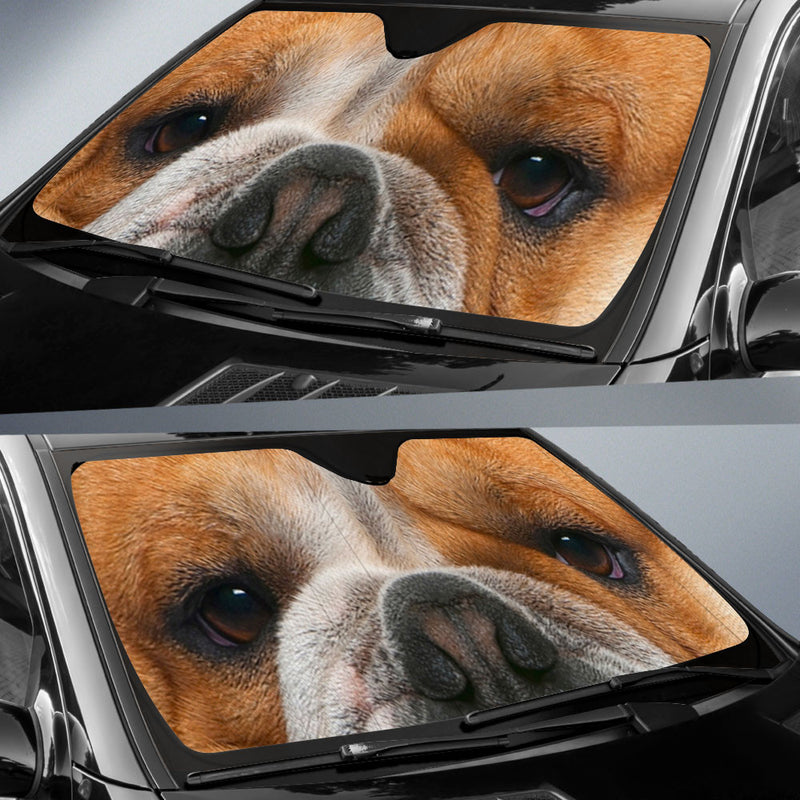 Bulldog Eyes Car Sun Shade 94