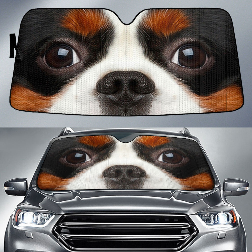 Cavalier King Charles Spaniel Eyes Car Sun Shade 94