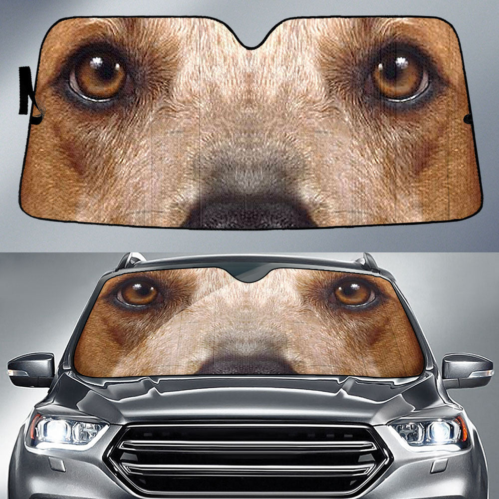 Coonhound Eyes Car Sun Shade 94