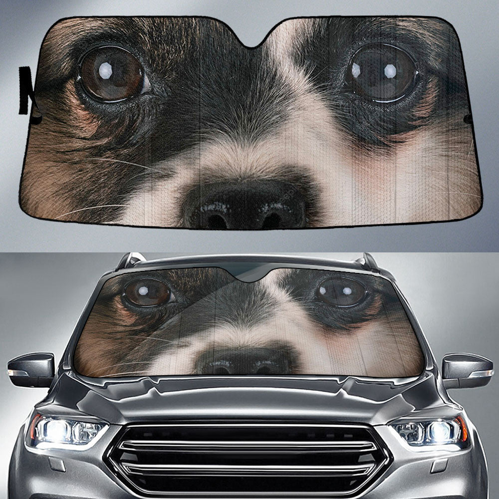 Papillon Eyes Car Sun Shade 94