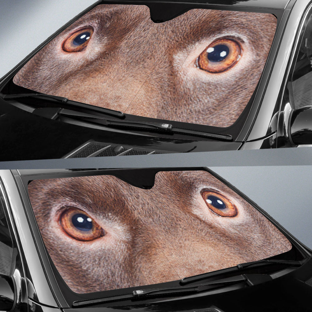 Patterdale Terrier Eyes Car Sun Shade 94