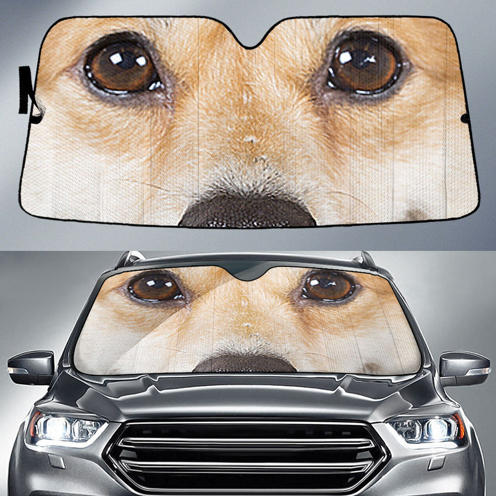Pembroke Welsh Corgi Eyes Sun Shade 94