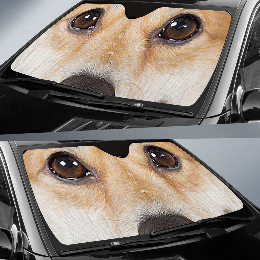 Pembroke Welsh Corgi Eyes Sun Shade 94