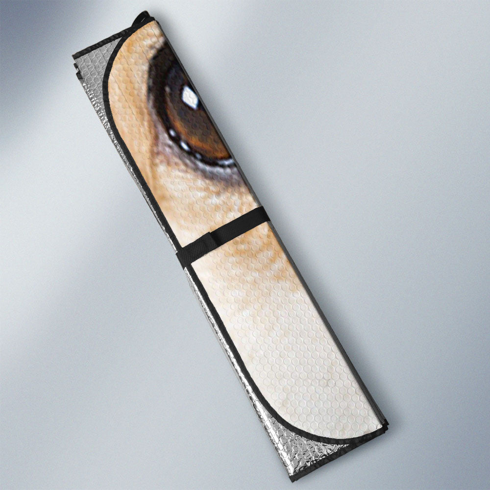 Pembroke Welsh Corgi Eyes Sun Shade 94