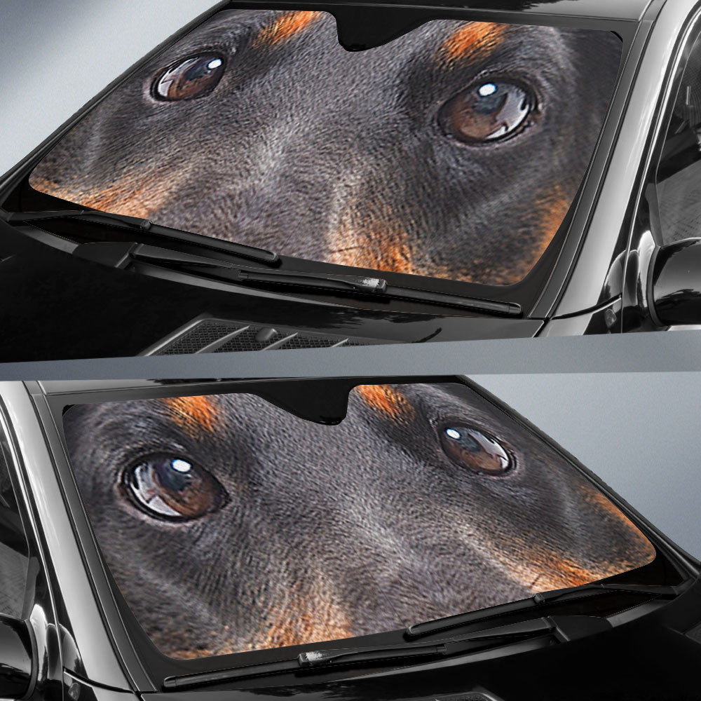 Jagdterrier Eyes Car Sun Shade 94
