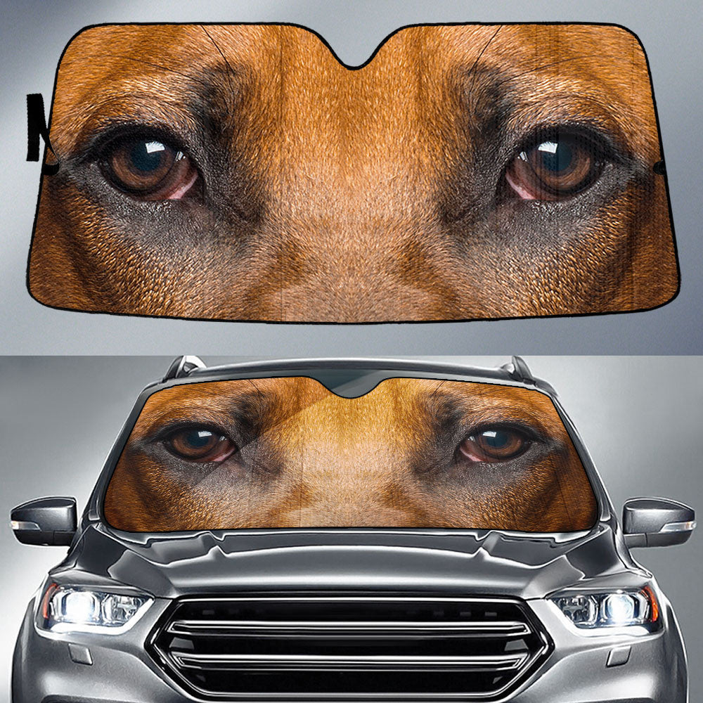 Rhodesian Ridgeback Eyes Car Sun Shade 94