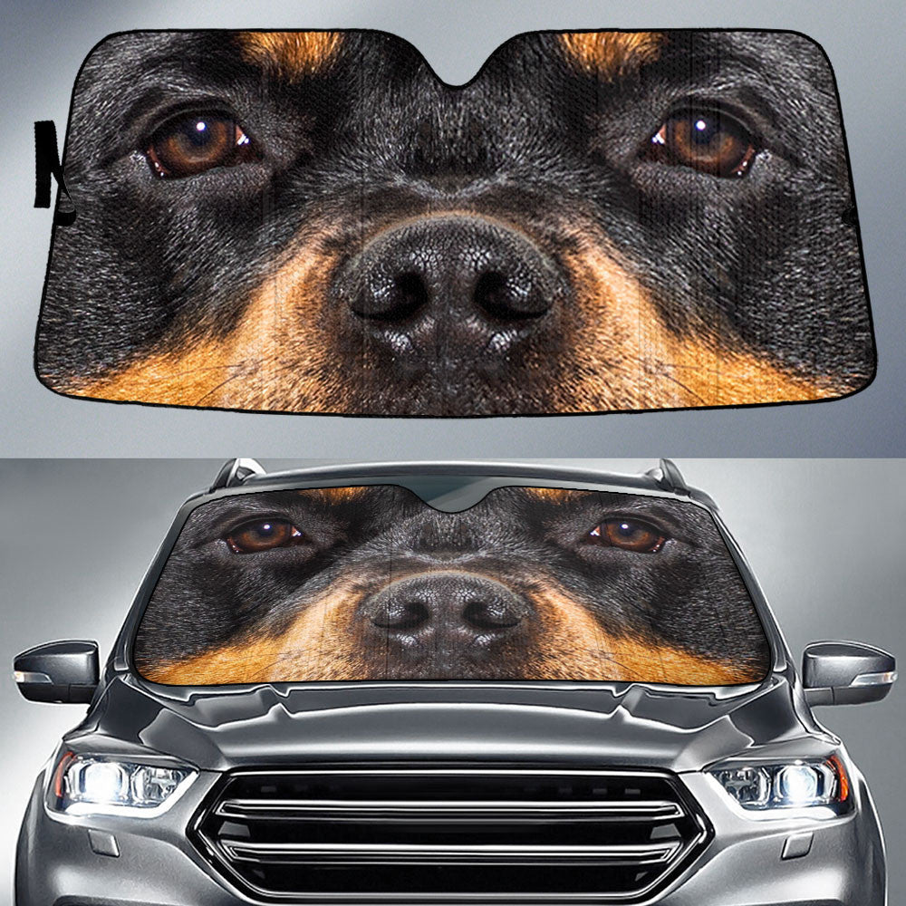 Rottweiler Eyes Car Sun Shade 94