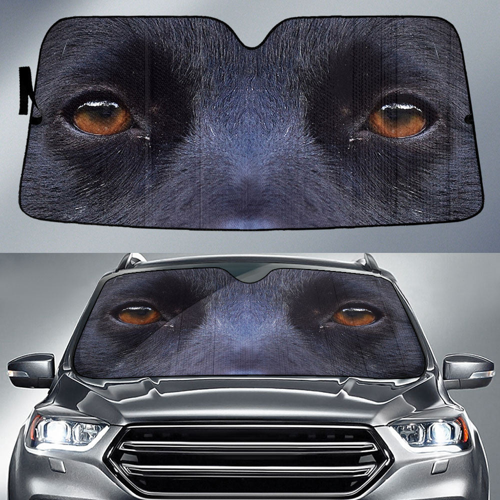Schipperke Eyes Car Sun Shade 94