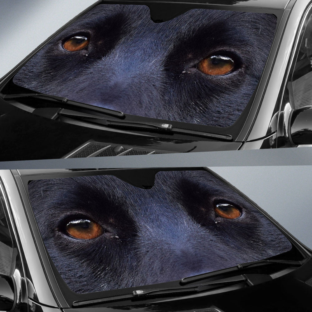 Schipperke Eyes Car Sun Shade 94