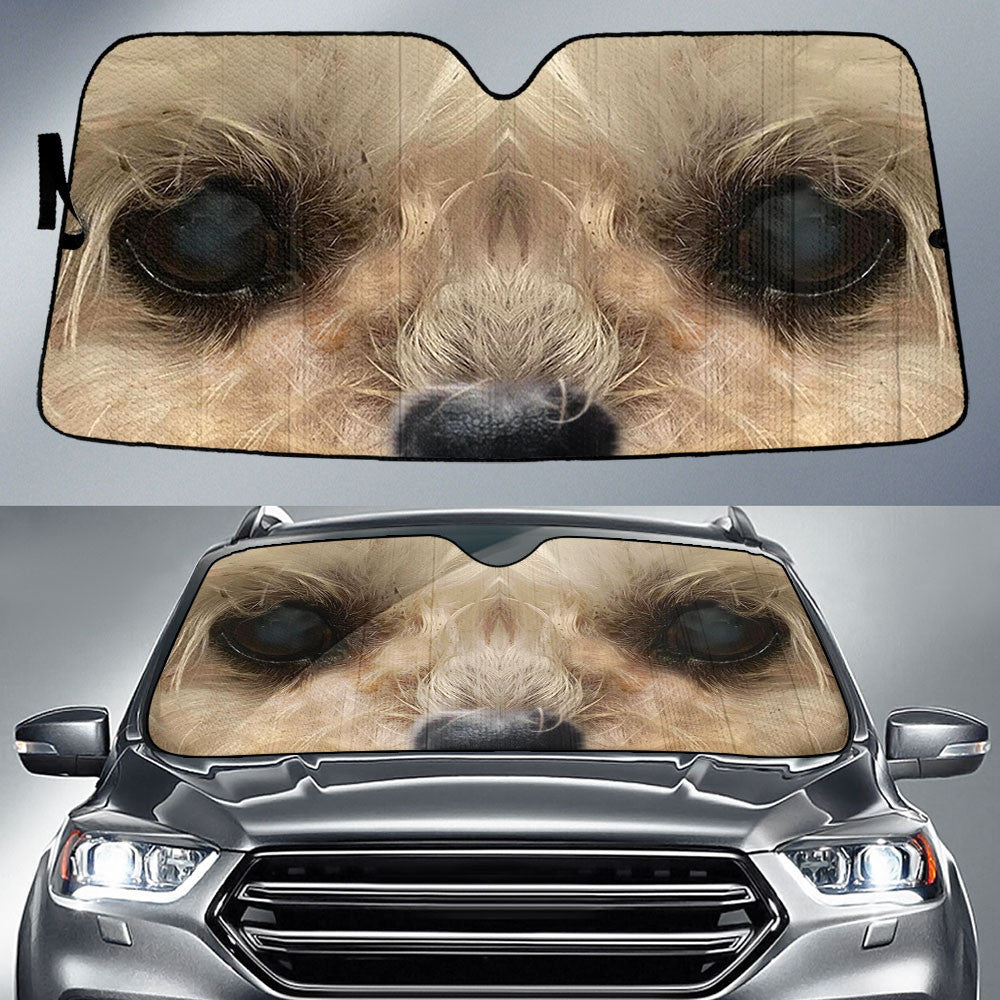 Schnoodle Eyes Car Sun Shade 94