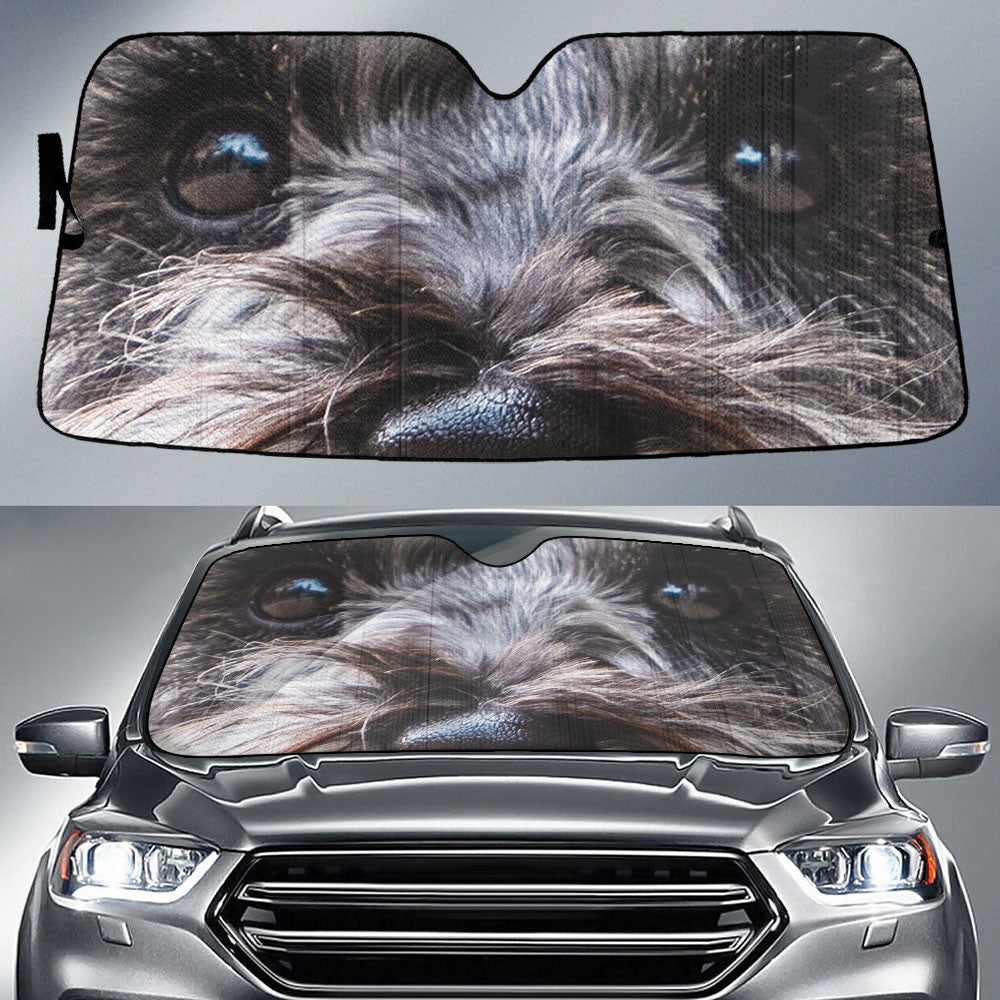 Scottish Terrier Eyes Car Sun Shade 94