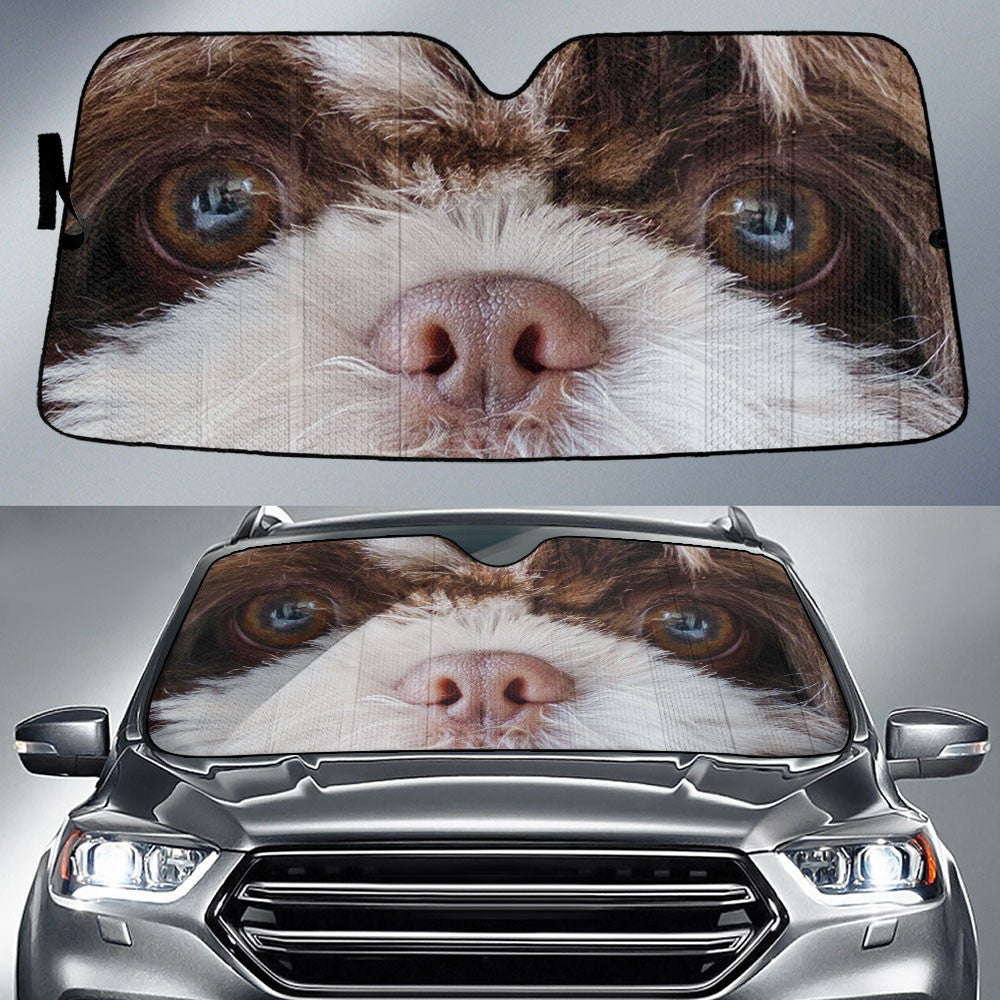 Shih Tzu Eyes Car Sun Shade 94