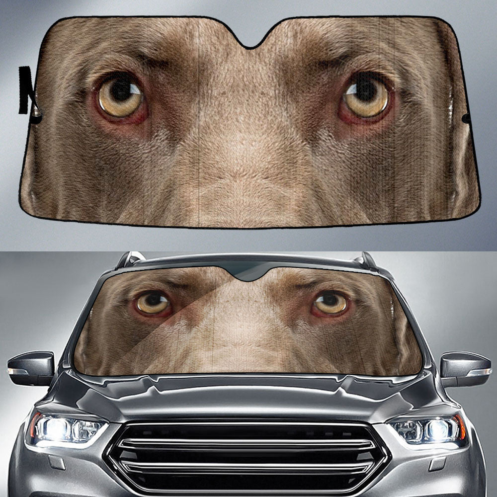 Weimaraner Eyes Car Sun Shade 94