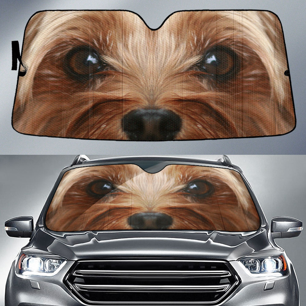 Yorkie-Poo Eyes Car Sun Shade 94
