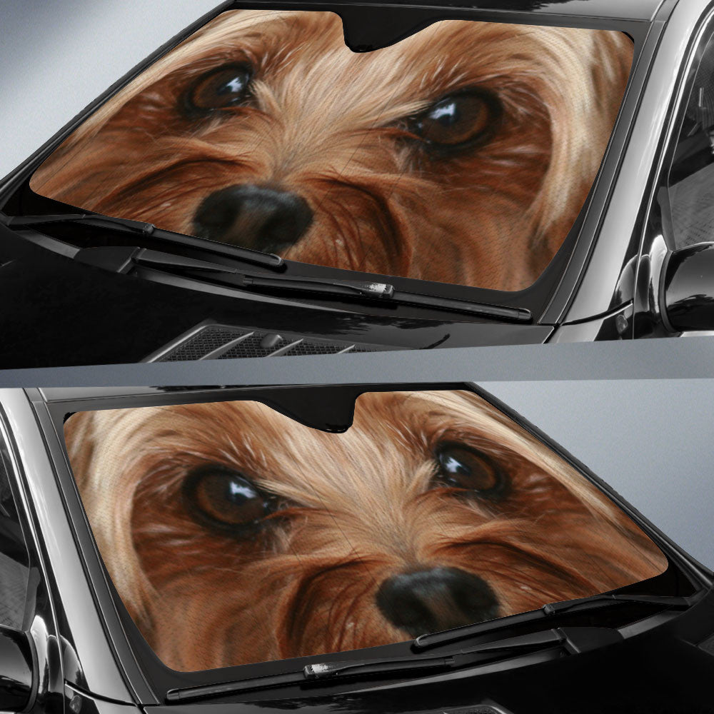 Yorkie-Poo Eyes Car Sun Shade 94