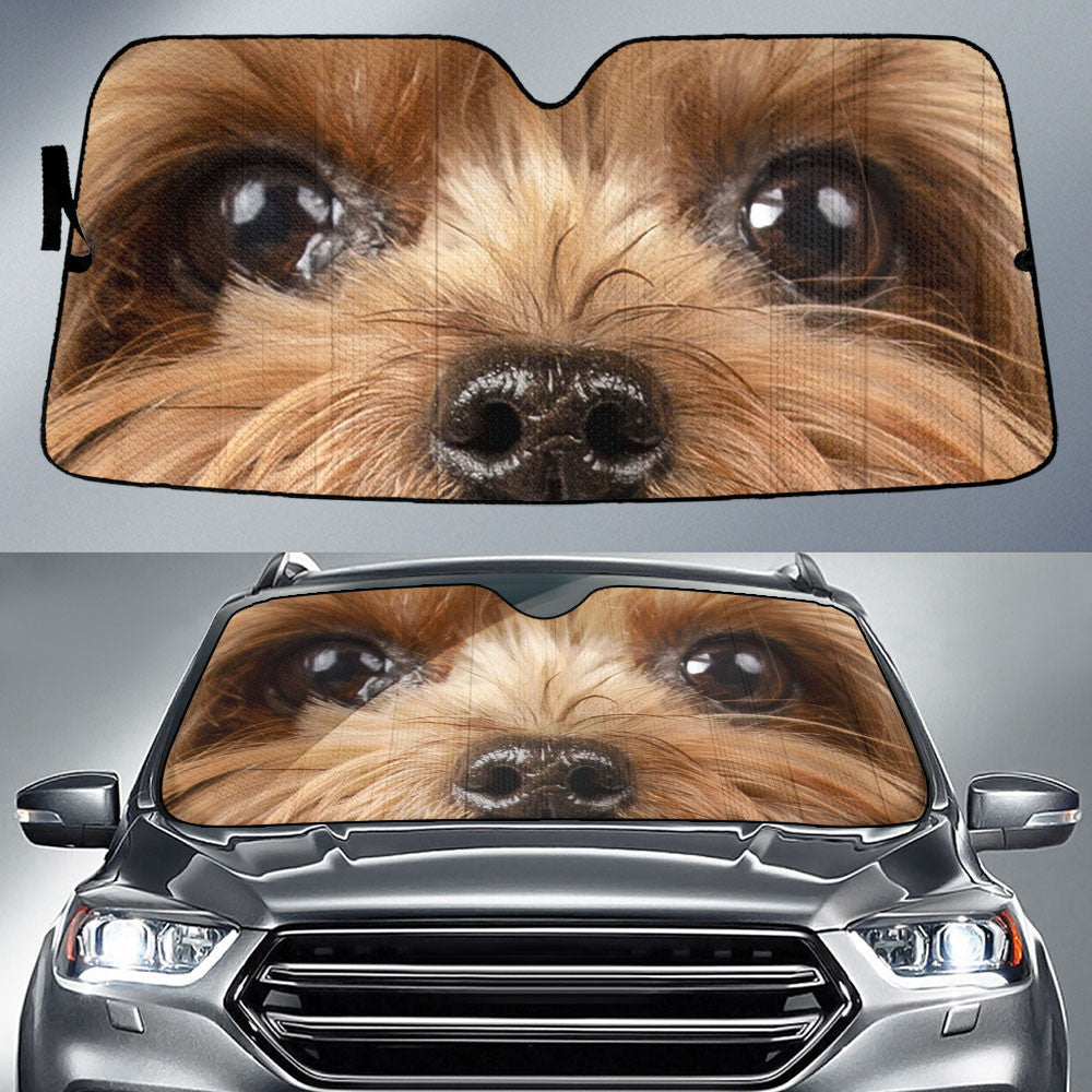 Yorkshire Terrier Eyes Car Sun Shade 94