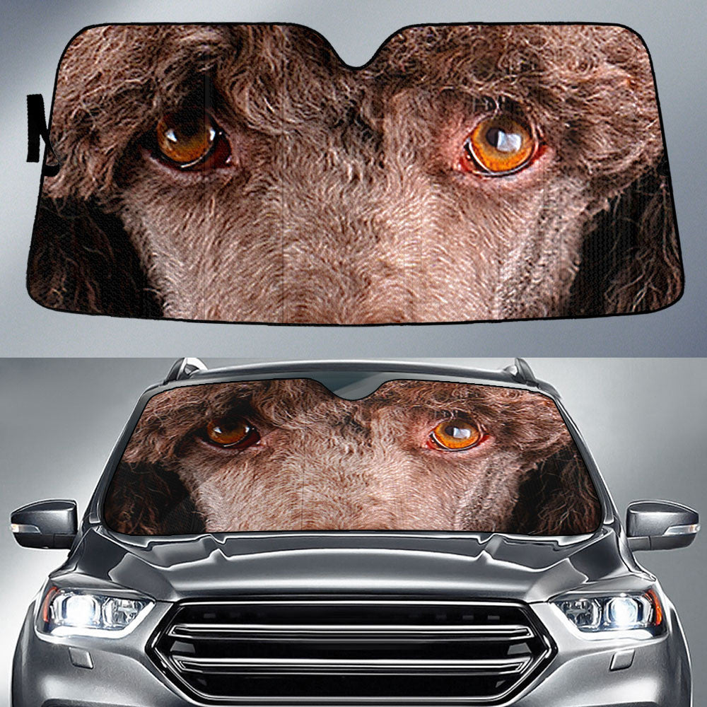 Brown Standard Poodles Eyes Car Sun Shade 94