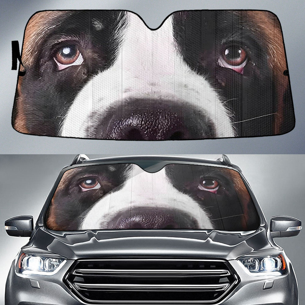 St. Bernard Eyes Car Sun Shade 94