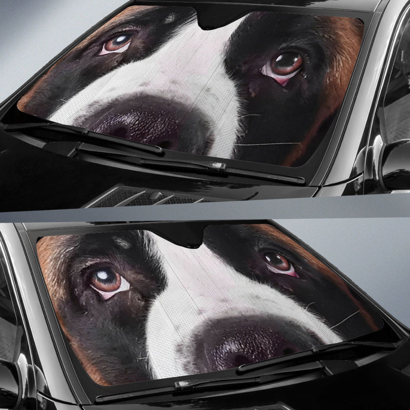 St. Bernard Eyes Car Sun Shade 94