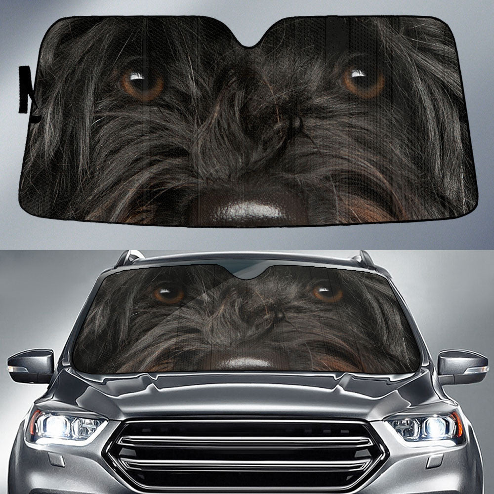 Portuguese Water Eyes Car Sun Shade 94