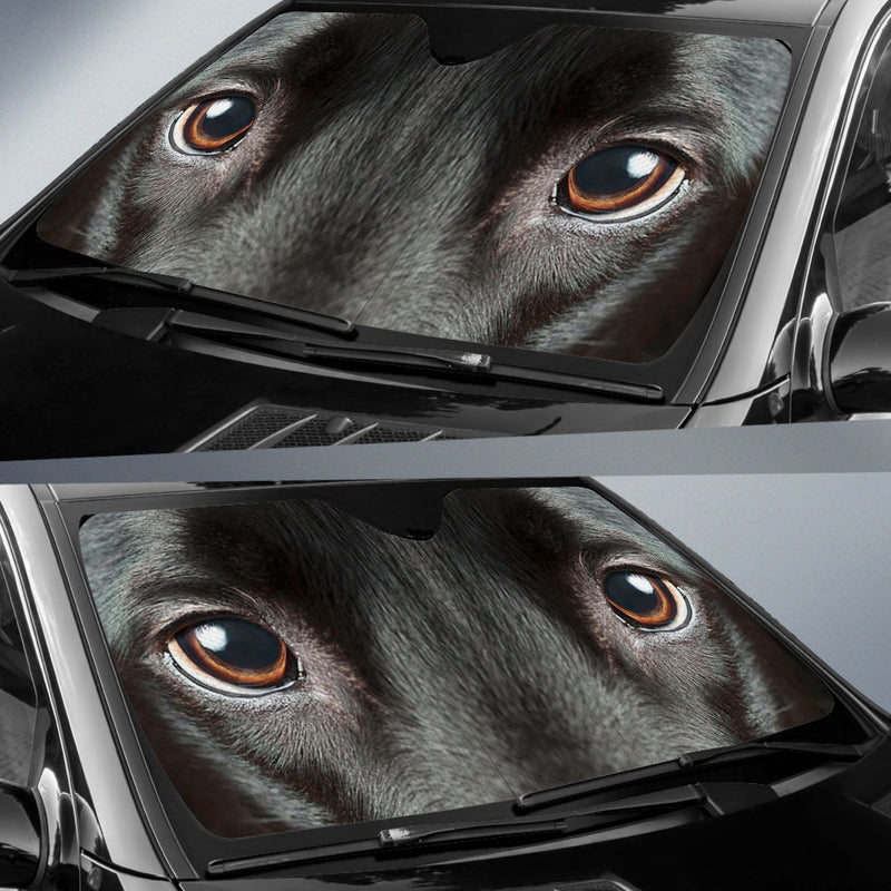 Black Labrador Eyes Car Sun Shade 94