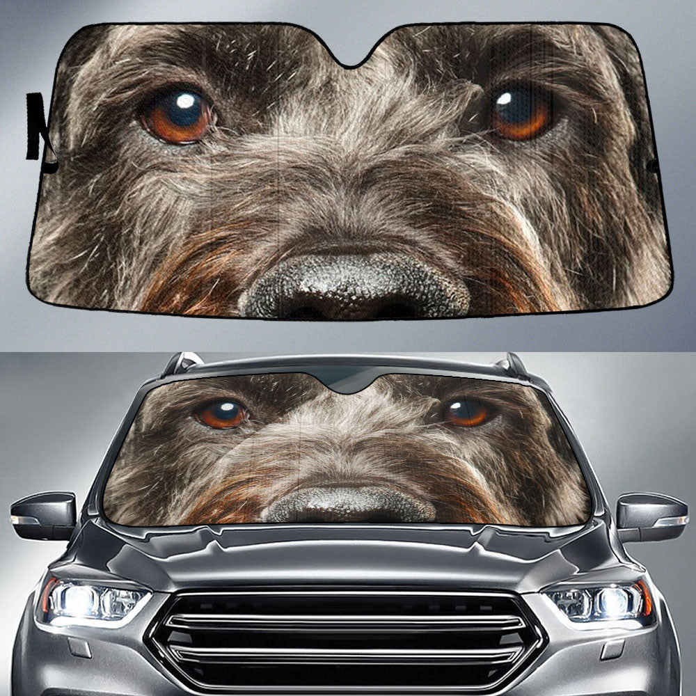 Black Schnoodle Eyes Car Sun Shade 94